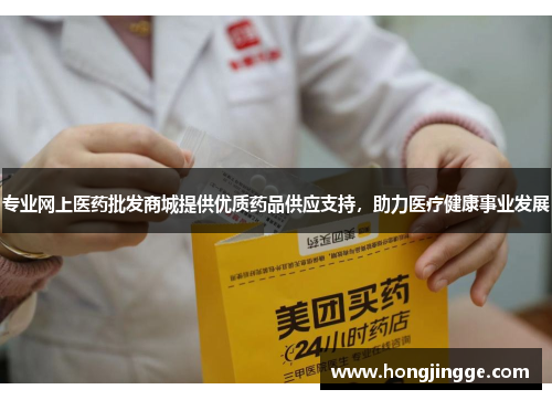 专业网上医药批发商城提供优质药品供应支持，助力医疗健康事业发展