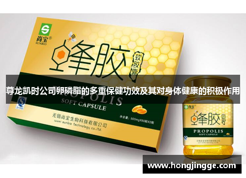 尊龙凯时公司卵磷脂的多重保健功效及其对身体健康的积极作用