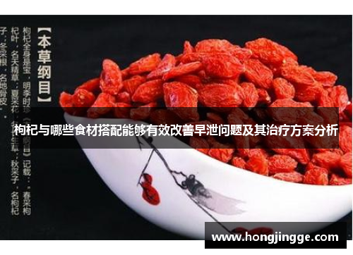 枸杞与哪些食材搭配能够有效改善早泄问题及其治疗方案分析