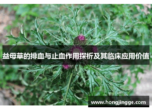益母草的排血与止血作用探析及其临床应用价值
