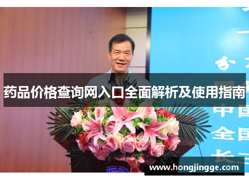 药品价格查询网入口全面解析及使用指南