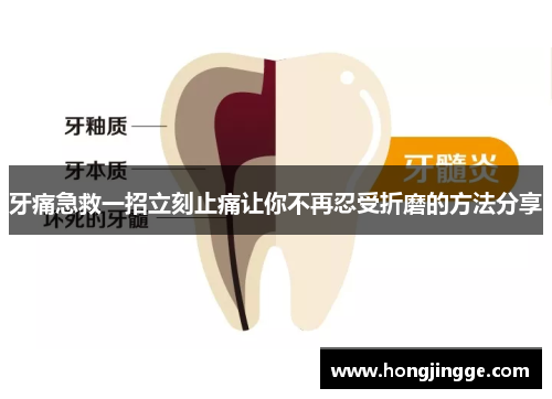 牙痛急救一招立刻止痛让你不再忍受折磨的方法分享