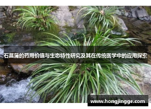 石菖蒲的药用价值与生态特性研究及其在传统医学中的应用探索