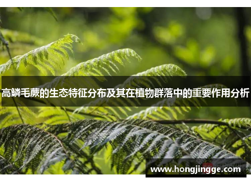 高鳞毛蕨的生态特征分布及其在植物群落中的重要作用分析